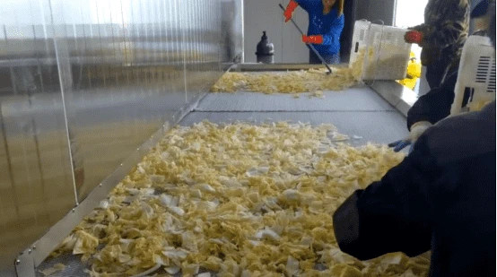 9compressed 9compressed