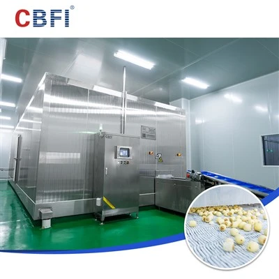 CBFI Çift Spiral Dondurucu, Dondurulmuş Gıda İşletmeleri İçin Yüksek-Verimli Büyümede Yeni Bir Sayfa Açıyor