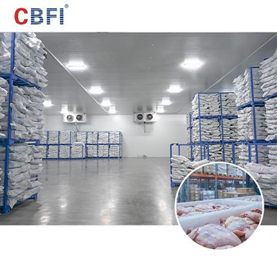Güneydoğu Asya için CBFI Büyük Deniz Ürünleri Soğuk Depolama Çözümleri: Tropikal İklimlerde Mükemmel Korumaya Giden Yol