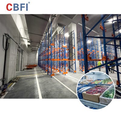 CBFI Tek-Soğuk Zincir Çözüm Sağlayıcısı Büyük-Ölçekli Taze Ürün Soğuk Zincir Lojistiğinin Yükseltilmesini Güçlendiriyor